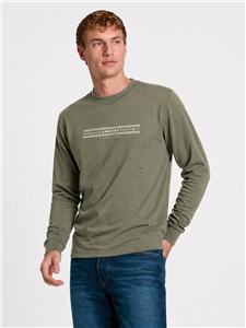 3909 - Remera Aero M/L Estampada